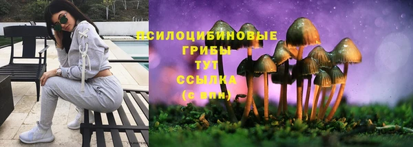 PSILOCYBIN Переславль-Залесский