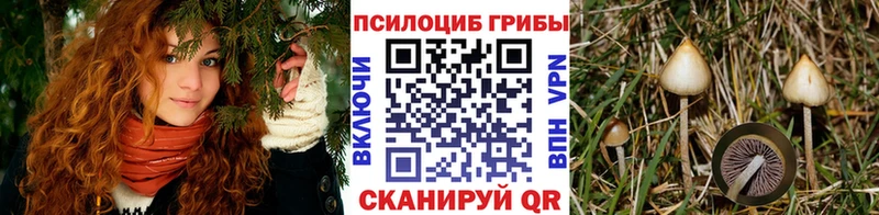 Псилоцибиновые грибы мухоморы  Горячеводский 
